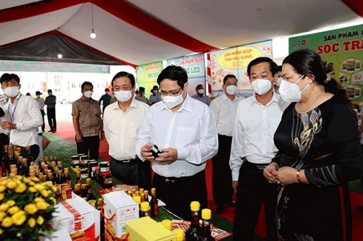 Thay đổi tư duy từ sản xuất nông nghiệp sang phát triển nông nghiệp, từ chống sang chủ động thích ứng với biến đổi khí hậu