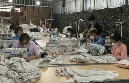 Duy trì việc làm, thu nhập ổn định cho lao động nông thôn