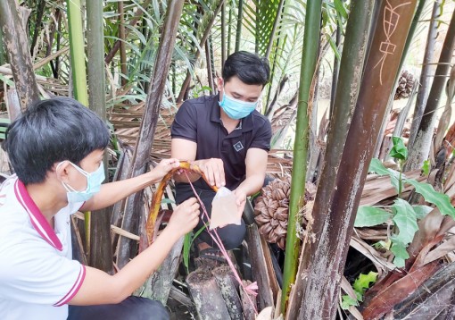 ទឹក​ផ្កា​ចាក​ Nipa Farm