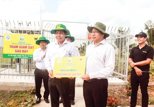 Hợp tác, chuyển giao tiến bộ khoa học kỹ thuật về sản xuất lúa