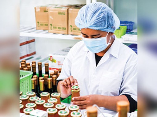 Kết nối, huy động nguồn lực hỗ trợ khởi nghiệp vùng ĐBSCL