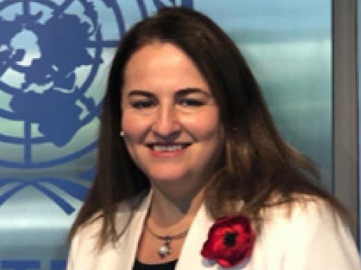 UN Women đánh giá cao nỗ lực thực hiện mục tiêu bình đẳng giới của Việt Nam