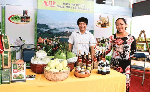 Liên kết trong sản xuất và tiêu thụ nông sản