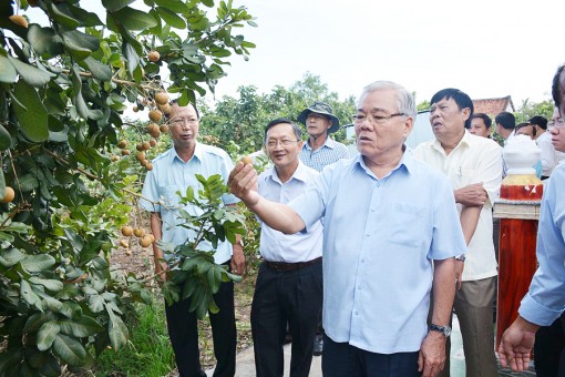 ផ្តល់​ទំ​នុក​ចិត្ត​ដល់​អ្នក​ចម្ការ​