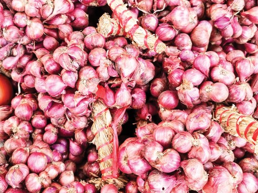 Củ hành tím giảm giá