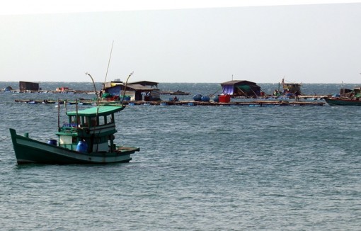 Việt Nam hướng tới xây dựng Nhóm đối tác Kinh tế biển xanh