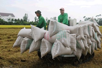 Nông dân ÐBSCL sản xuất lúa đông xuân 2021-2022 có lợi nhuận thấp hơn vụ trước