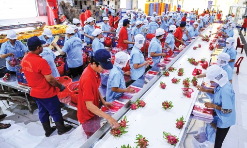 Thúc đẩy trao đổi thương mại từ UKVFTA