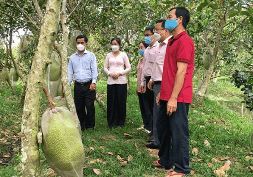 Ðáp ứng nhu cầu vay vốn phát triển sản xuất, kinh doanh, dịch vụ