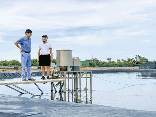 Người "ngoại đạo" và Tomgoxy