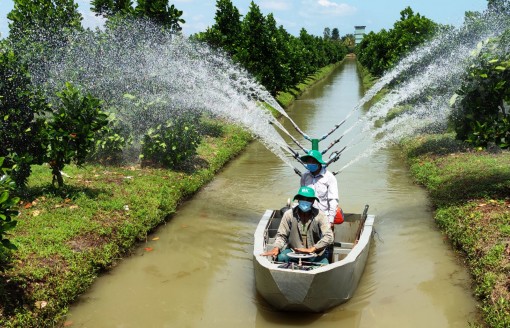 Nhiều giải pháp hiệu quả bảo vệ vườn cây ăn trái trong mùa nắng nóng