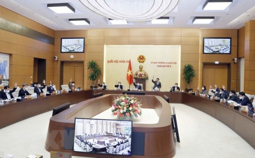 Đưa người nghiện ma túy từ đủ 12 đến dưới 18 tuổi vào cơ sở cai nghiện