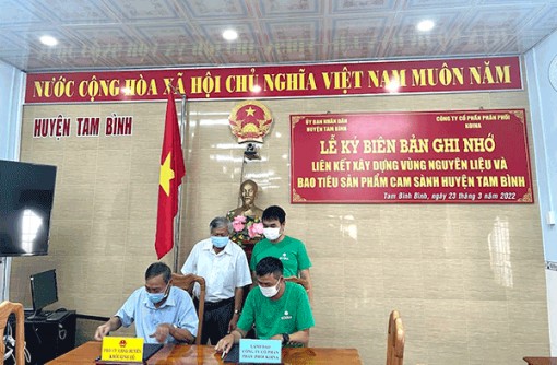 Koina ký biên bản ghi nhớ cùng UBND huyện Tam Bình phát triển nông sản địa phương