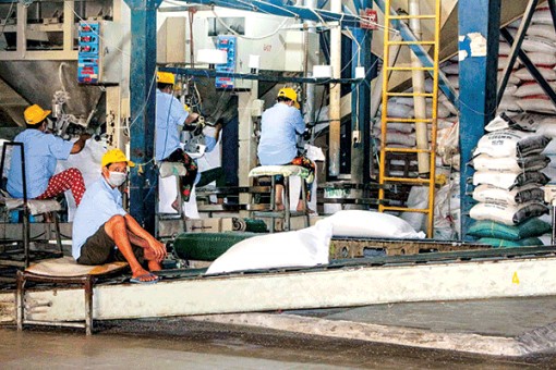 Thốt Nốt khôi phục, phát triển kinh tế thích ứng an toàn dịch bệnh