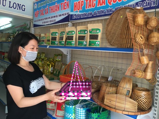 Trợ lực cho hợp tác xã phát triển, thích ứng trong điều kiện bình thường mới