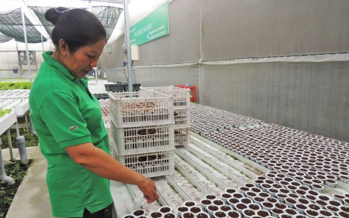 Doanh nghiệp tối ưu hóa công nghệ số để phục hồi, tăng trưởng hậu COVID-19