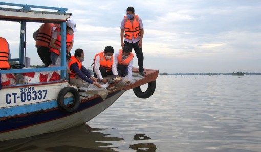 Thả cá về sông, bảo vệ, tái tạo nguồn lợi thủy sản