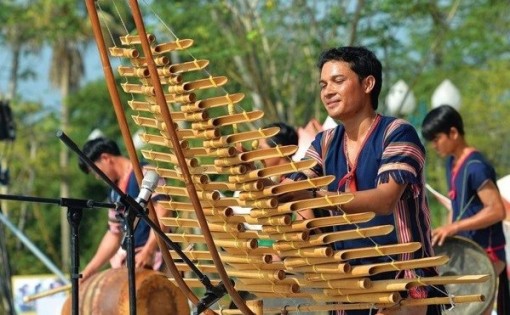 Can Tho to host exhibition on traditional musical instruments of Vietnamese ethnic groups