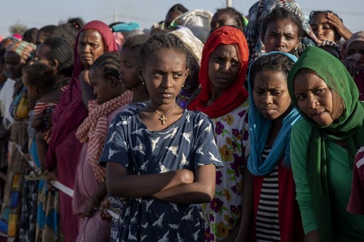 Hai tỉ người “sống chung” với xung đột vũ trang