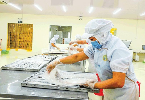 Doanh nghiệp linh hoạt để thích ứng, vượt khó