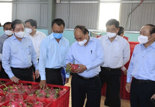 Huy động sức mạnh tổng hợp phát triển kinh tế tập thể ở Tiền Giang