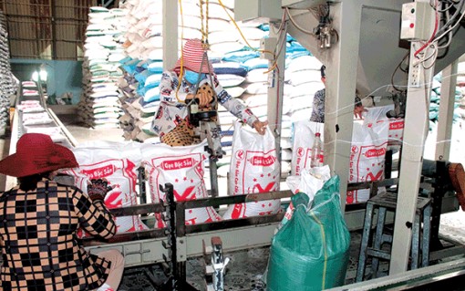 Thành phố nỗ lực tháo gỡ khó khăn để phục hồi và phát triển