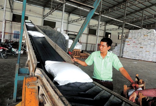 Bình quân mỗi tháng có 20.000 doanh nghiệp thành lập mới và quay trở lại hoạt động