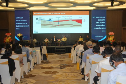 Tăng cường hợp tác khai thác thế mạnh, phát triển bền vững ĐBSCL