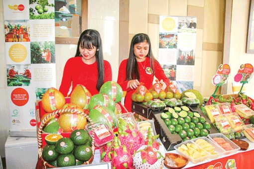 Ðưa ÐBSCL phát triển bền vững