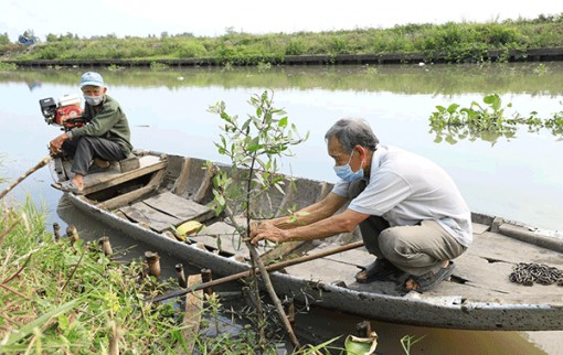 Nhân rộng phong trào bảo vệ môi trường