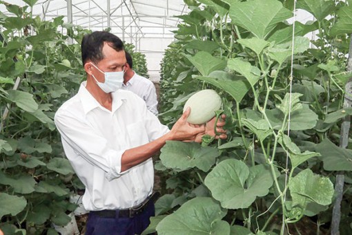 Truyền cảm hứng làm nông nghiệp công nghệ cao
