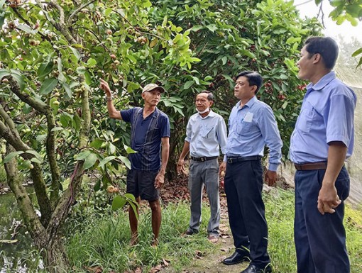 Hỗ trợ nhân dân phát triển sản xuất