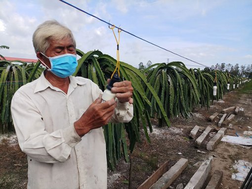 Thúc đẩy chuyển giao, ứng dụng khoa học công nghệ trong nông nghiệp