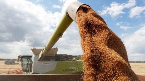 Mỹ - Nga tranh cãi về tăng giá lương thực