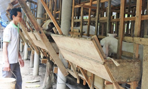 Giá dê hơi tiếp tục tăng