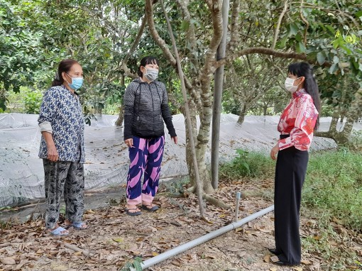 Hỗ trợ hội viên nâng cao mức sống