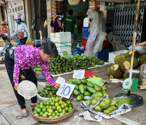 Đa dạng chủng loại, giá giảm