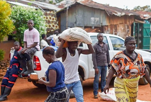 Châu Phi trước nguy cơ bất ổn vì lương thực