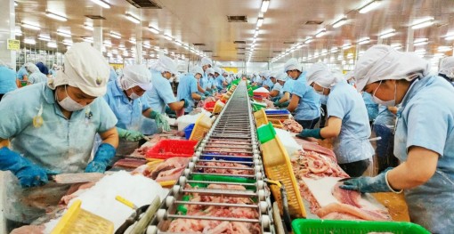 Thốt Nốt tăng cường mời gọi đầu tư, phát triển kinh tế - xã hội