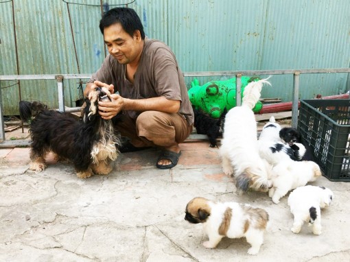 Yêu thích nghề nuôi thú cưng