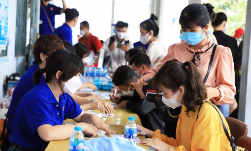 Đẩy mạnh kết nối, tạo cơ hội việc làm cho người lao động