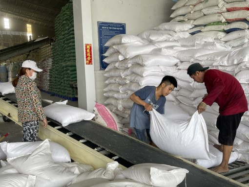 Giá gạo Việt Nam duy trì vị trí dẫn đầu