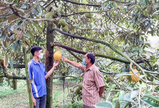 Chi bộ ấp Trường Trung làm theo gương Bác