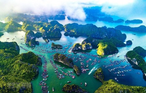 Kinh tế biển xanh: Cơ hội giúp Việt Nam trung hòa carbon vào năm 2050