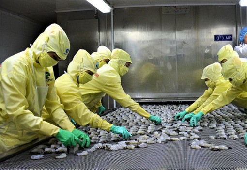 Cà Mau đã hỗ trợ tiền thuê nhà cho hơn 2.600 trường hợp