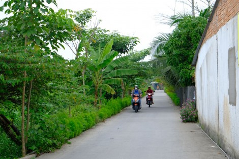 Phong Điền chú trọng phát triển hệ thống giao thông nông thôn