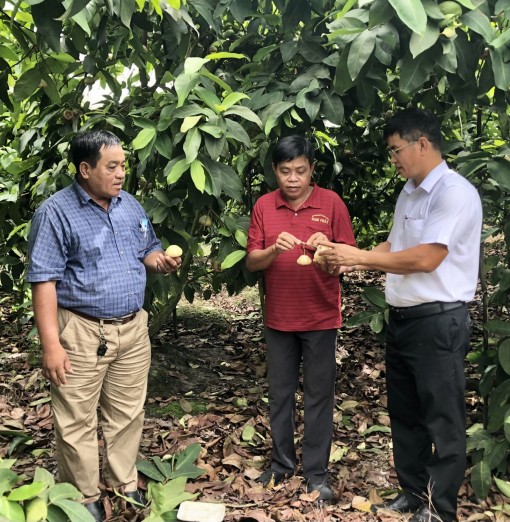 Hỗ trợ nhân dân phát triển sản xuất