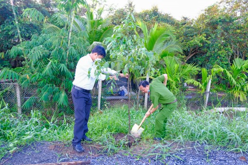 Trồng thêm cây xanh, thiết thực bảo vệ môi trường