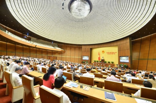 Bài 3: Cần vaccine và thuốc điều trị mới