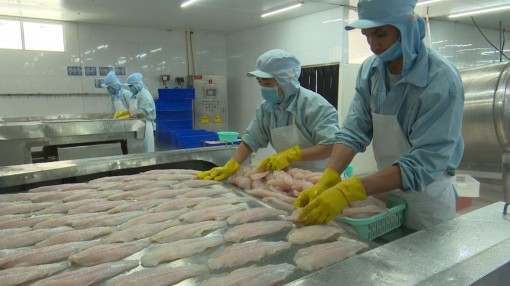 Liên kết để phát triển thịnh vượng ĐBSCL